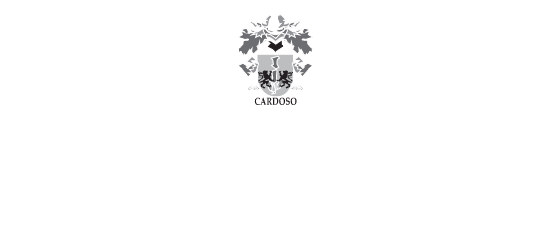 Grupo F Cardoso